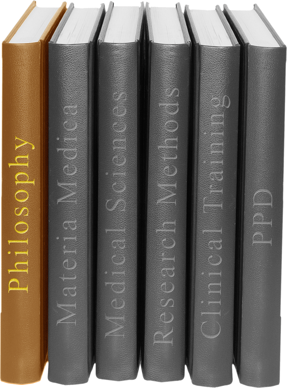 Teaching of Homeopathic Philosophy at the Aroga School of Homeopathy